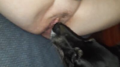 Dog girl porn: sex porn dogs women
