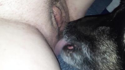 Porn bestiality: zoo horses porno video