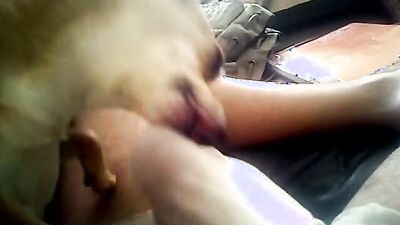 Zoo porn: male zoophilia