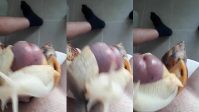 Bestiality dog: aoz porn zoo