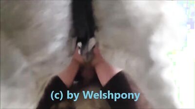 Girl playing dog: tg channel bestiality hentai