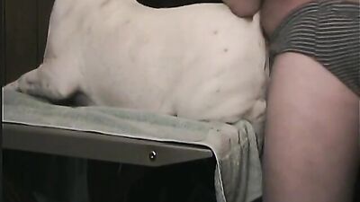 Zoo dog sex: big ass zoo porn
