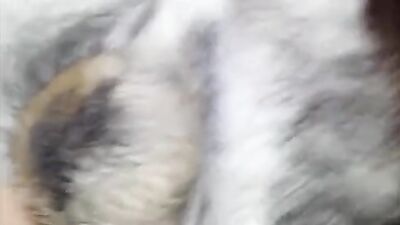 Dog porn: latin dog sex