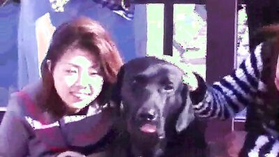 Zoo porn: real dogs sex