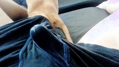 Dog's porn: sex porno animals dogs
