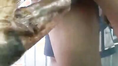 Girls s dogs: animal dogs fucking girl