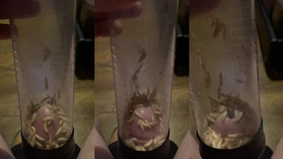 Zoo fuck porn: femdom zoo sex