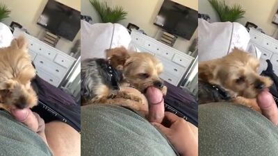 Zoo sex porn: teen girl sex dog