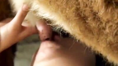 Zoo porn video: cat in dog porn hob