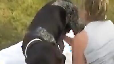 Girl dog video: teen girl sucking dog