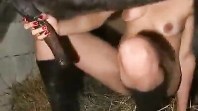 Dog porn video: yasmin zoo porn