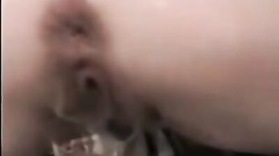 Zoo sex video: dog sex stray x