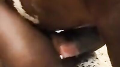 Dog girl play: knotty zoo porn