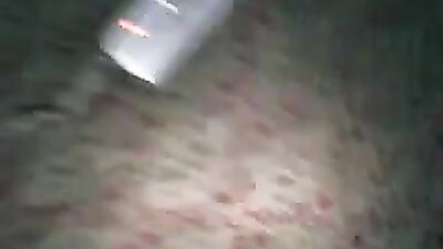 Dog lick girl: tiny dog porn