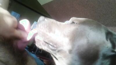 Russian zoo porn: cartoon porn woman dog