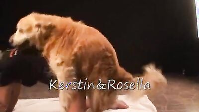 Zoo porn: animated xxx zoophilia