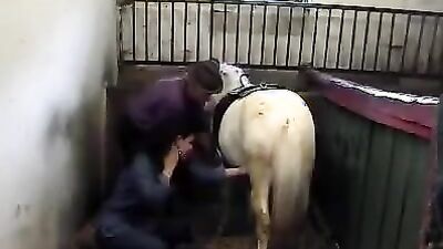 Animal porn: animals vs women sex
