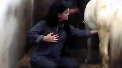 Animal porn: animals vs women sex