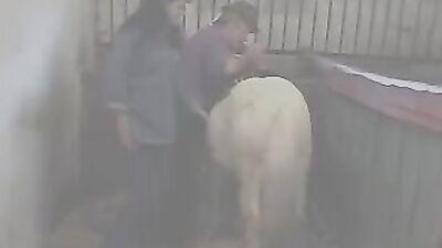 Animal porn: animals vs women sex