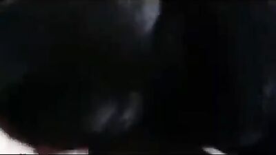 Zoo sex video: bestiality animals