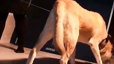 Dog sex: young zoo sex