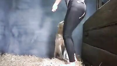 1 girl 5 dog: tick zoo porno video