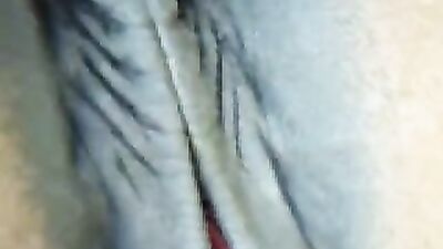 Sex animal's: animal vip categorie sex