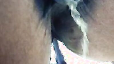 Sex animal's: animal vip categorie sex