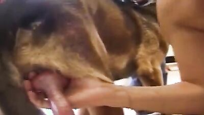 Dog pussy girls: show zoo porn