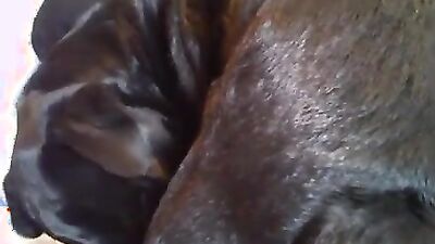Zoo sex video: slushe zoo porn