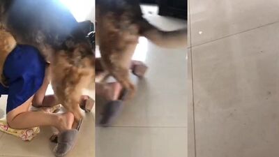Teen dog sex: best hot porno girls ft animals