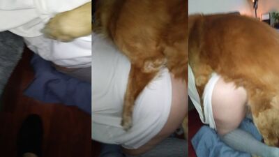 Animal dog sex: teen bestiality porn