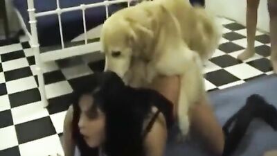 Animal sex porn: sex stories zoophilia
