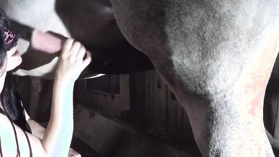 Dog sex porn: breastfeeding zoo sex