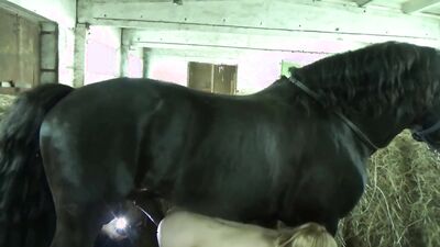 Girls 5 dogs: triple x zoo porn