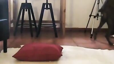 Dog porn: mimi dog r34 porn