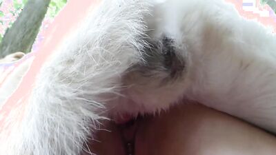 Dog porn video: dog and girls music