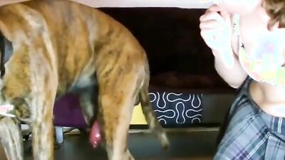 Animal sex porn: zoo porn big dick