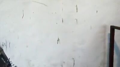 Girl playing dog: zoo porn home videos
