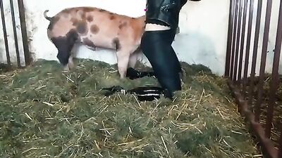 Girl playing dog: zoo porn home videos