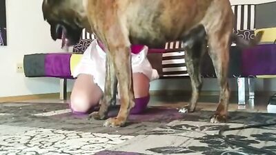 Dog porn video: russian gay zoophilia