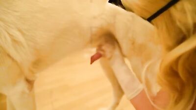 Dog licking girl: man fucks dogs zoo porn