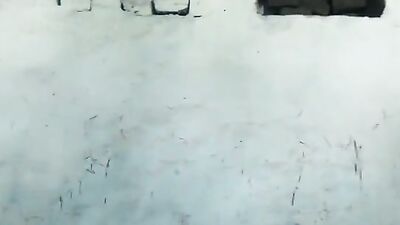 Animal cross porn: sex dog cum cupcake