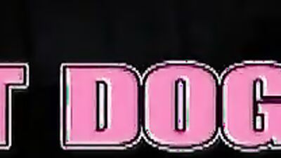 Bestiality sex: dogs do anal zoo porn