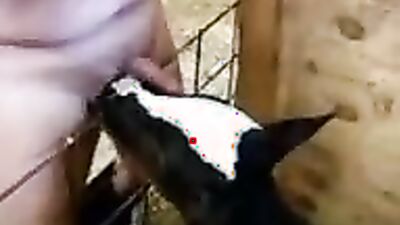 Girls s dogs: art of zoo me