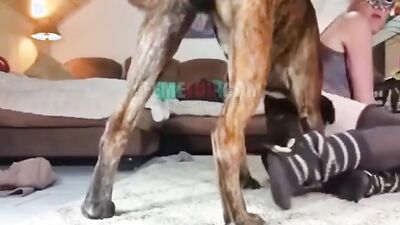 Teen zoo porn: inanılmaz dog sex