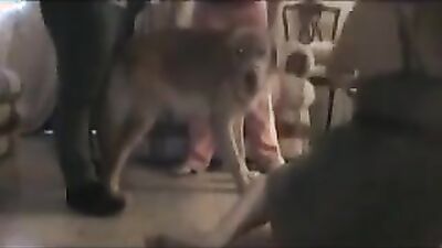 Art of zoo porno: dog anal men sex