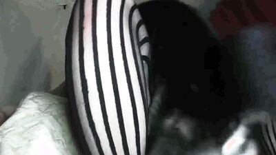 Zoo porn: dog fuck girls online