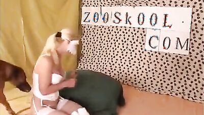 Girl cat dog: switch dog porn