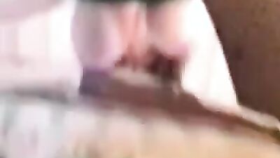 Zoo sex video: zoo sex pussy